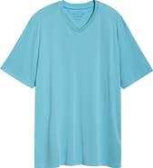 Tommy Bahama Bay Stripe IslandZone® V-Neck Performance T-Shirt