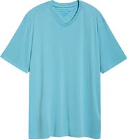 Tommy Bahama Bay Stripe IslandZone® V-Neck Performance T-Shirt