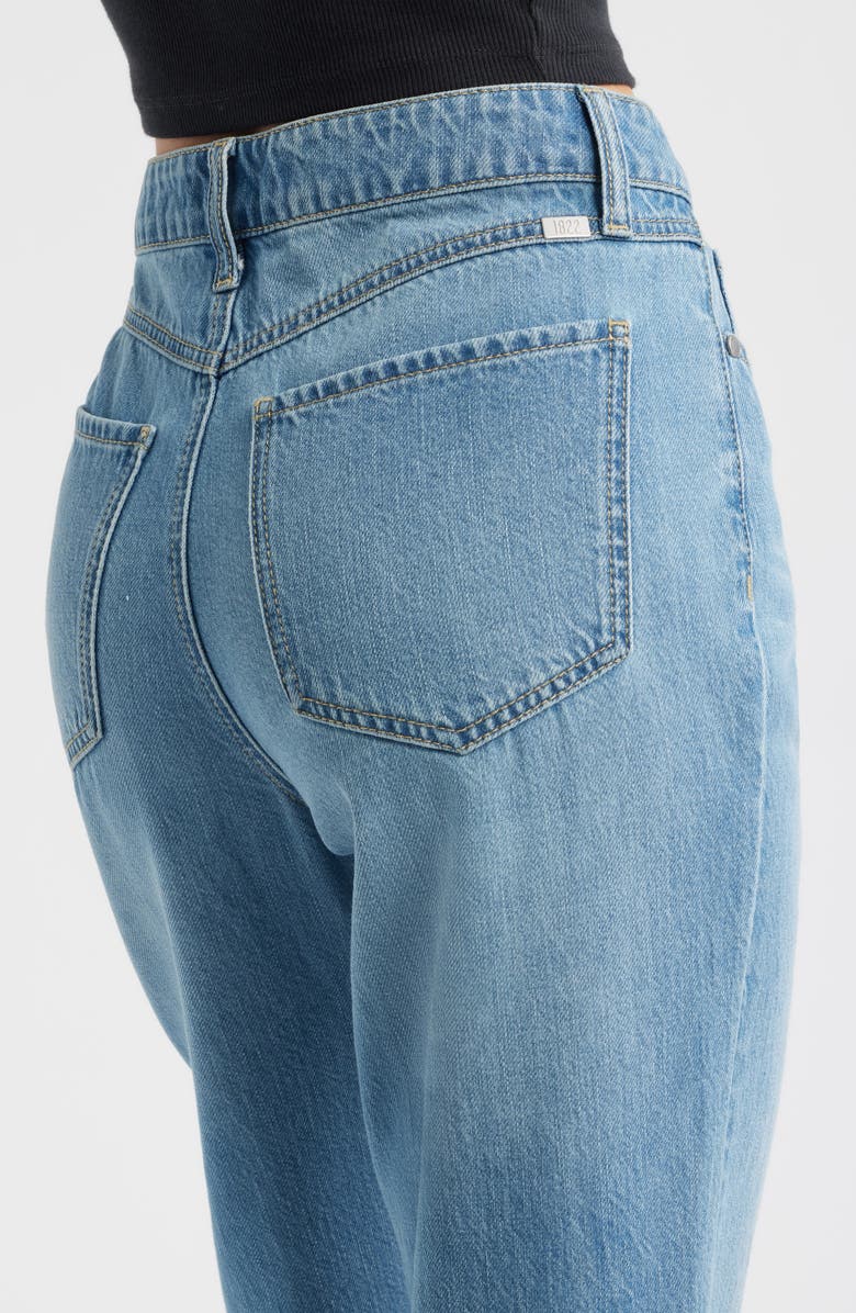 1822 Denim Baggy Straight Leg Nonstretch Jeans, Alternate, color, Lambert