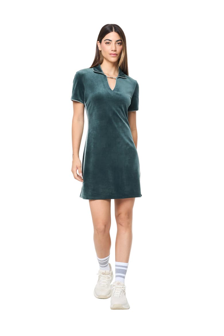 Lina Velour Dress, Main, color, GREEN GABLES