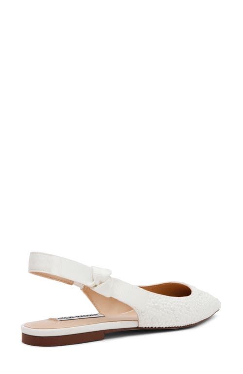 STEVE MADDEN STEVE MADDEN OLSEN SLINGBACK POINTED TOE FLAT