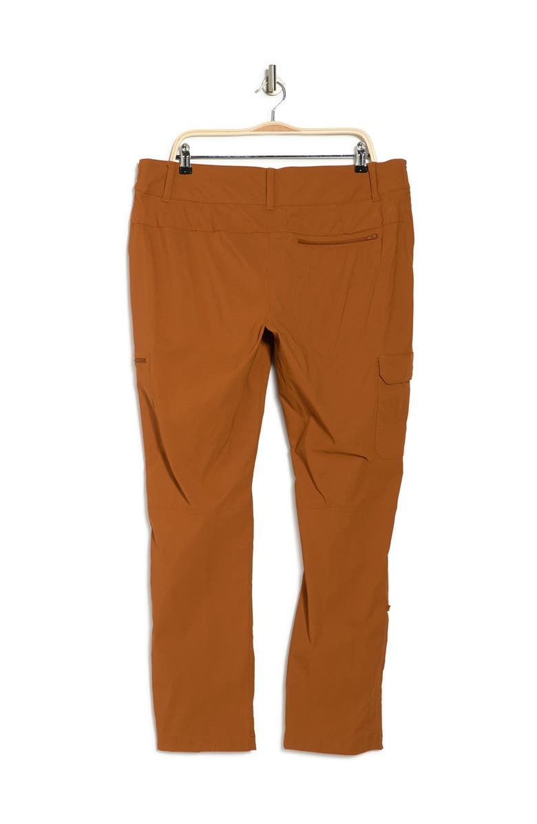 The North Face Paramount Hiking Pants, Alternate, color,