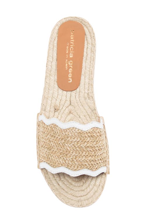 Patricia Green Emma Raffia Slide Sandal In White/natural