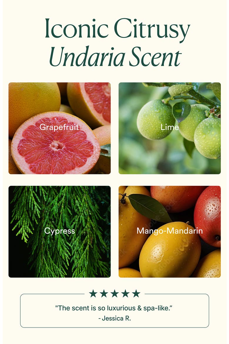 Undaria Algae™ Body Butter, Alternate, color, NO COLOR