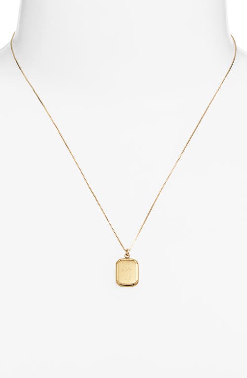 Set & Stones Audrey Birth Flower Pendant Necklace In Gold