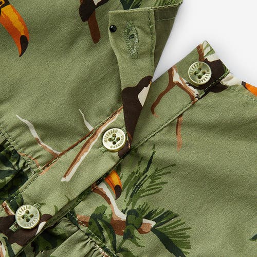 Milkbarn Ruffle Dress In Green