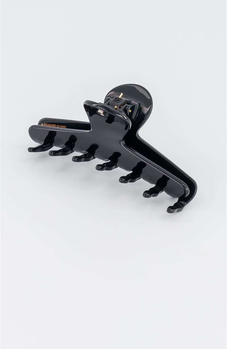 Alexandre de Paris Raspail Large Acetate Hair Claw Clip, Alternate, color, Black