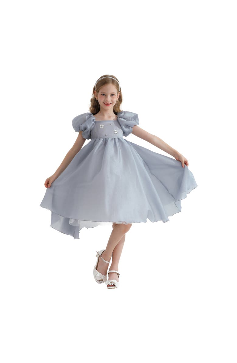 Tulleen Janelle Dress, Alternate, color, Grey