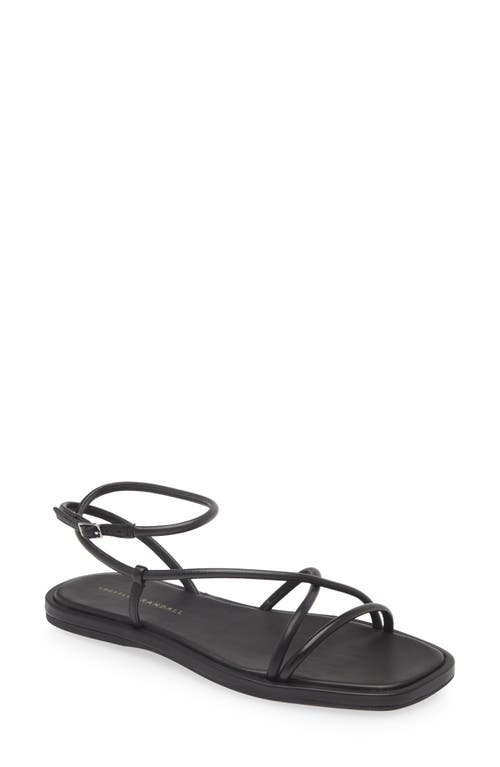 Loeffler Randall Noor Ankle Strap Sandal in Black at Nordstrom, Size 8.5