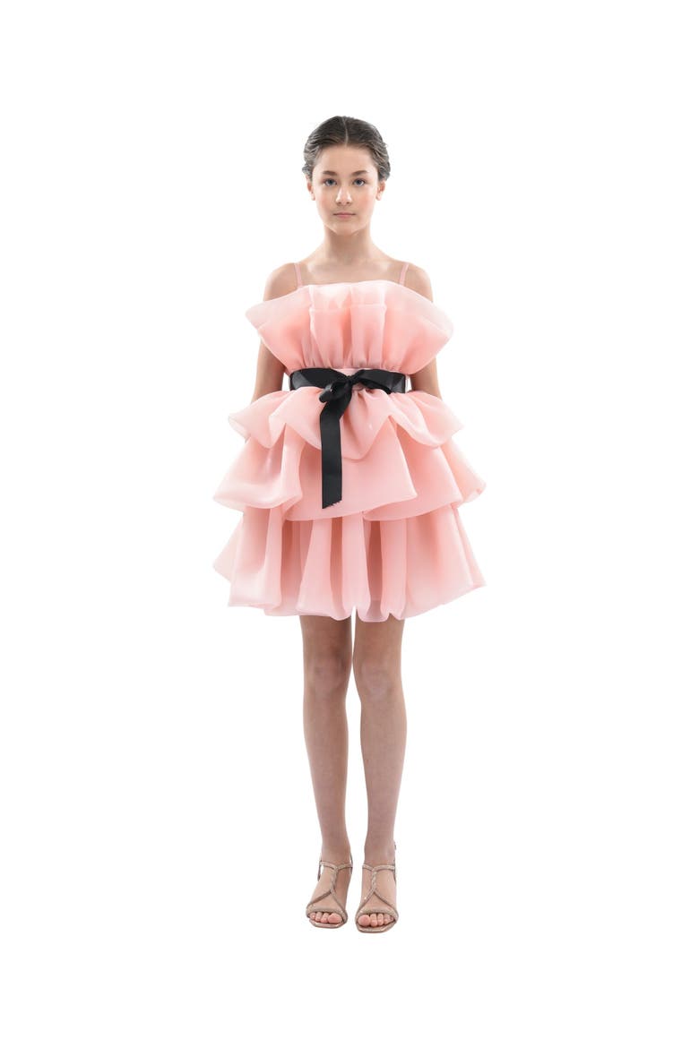 Noella Dress, Alternate, color, Pink