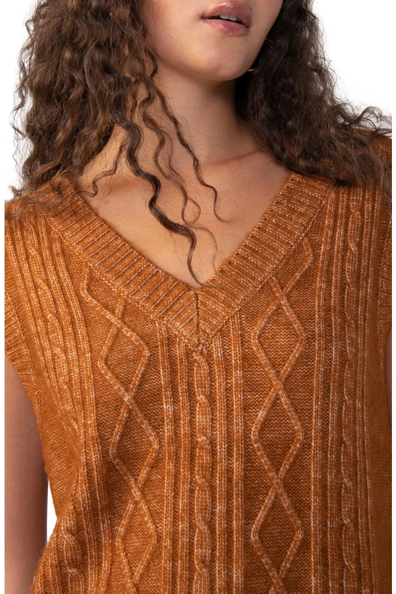 Cozy Cable Sweater Vest, Alternate, color, HTSP