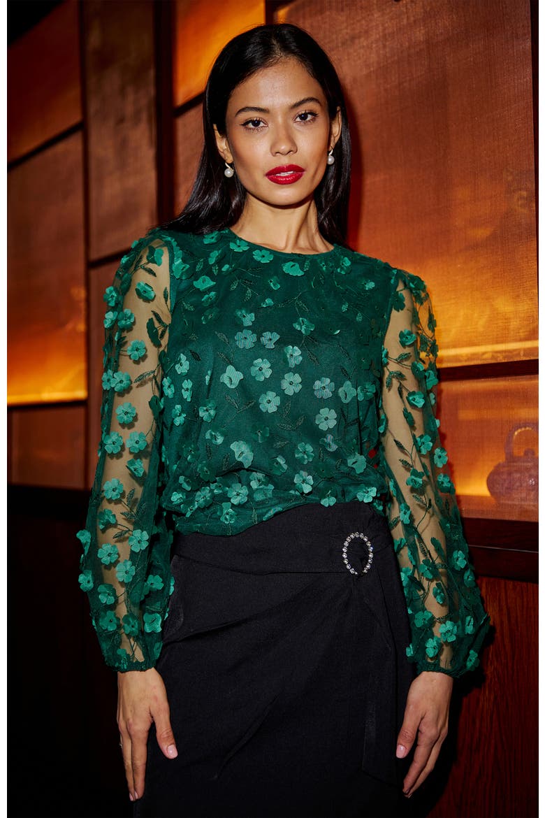 Long Sleeve Sheer Floral Top, Alternate, color, Green