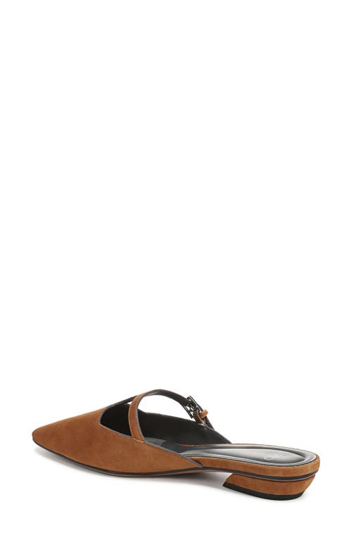 Sarto By Franco Sarto Dorthea T-strap Mule In Brown