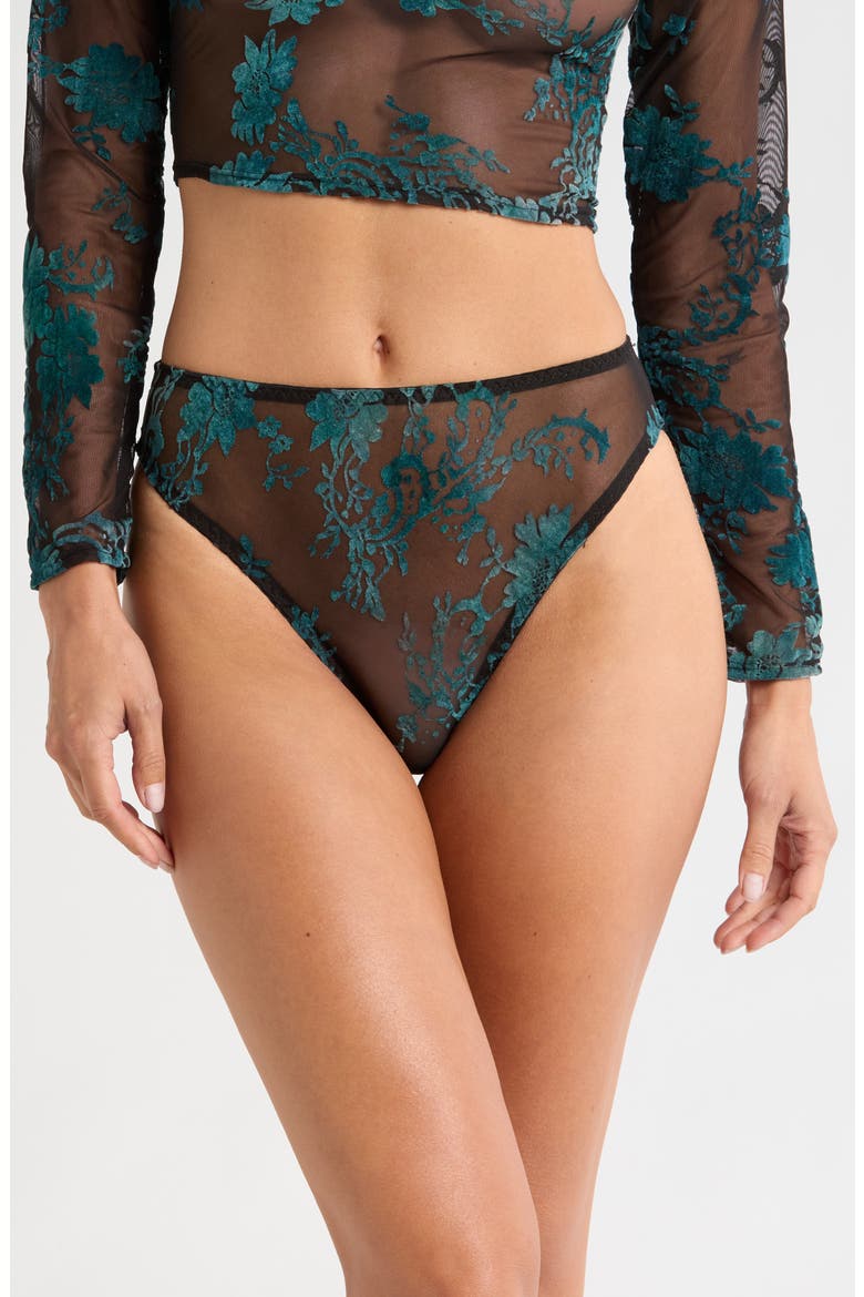 High Cut Embroidered Mesh Briefs, Main, color, BLACK EMERALD