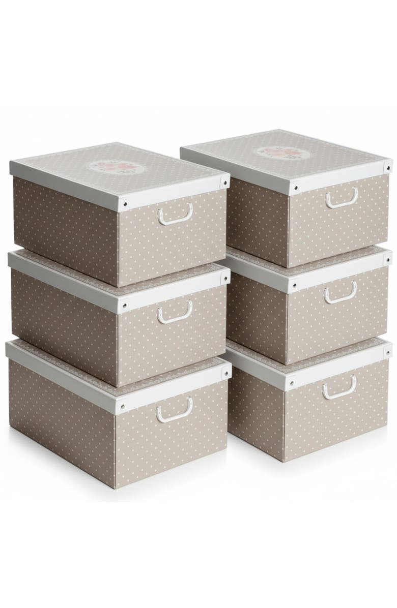 Lavatelli 6 Pack Large Size Storage Box, Main, color, Multicolored