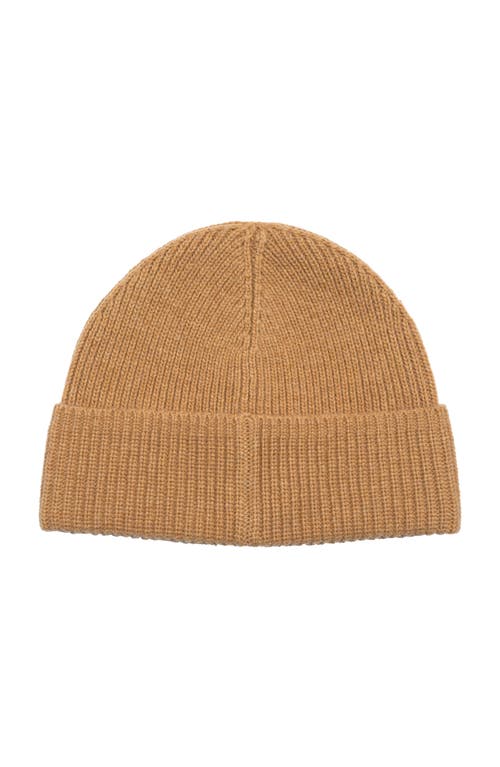 Polo Ralph Lauren Solid Flag Bear Beanie In Brown