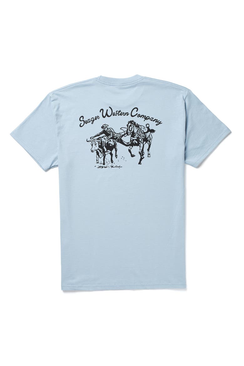 Los Rios Cotton Graphic T-Shirt, Alternate, color, ARTIC BLUE