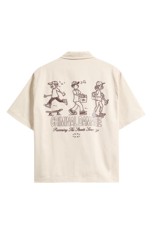 Criminal Damage Running The Streets Chest Pocket Knit Shirt In Brown