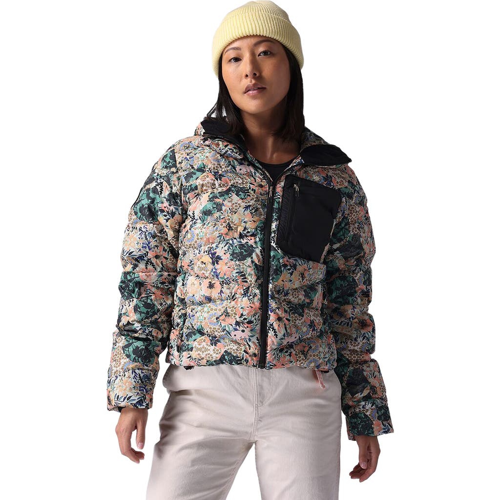 Backcountry Stansbury Allied Down Jacket In Multi
