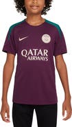 Nike Youth Nike  Burgundy Paris Saint-Germain 2024/25 Strike Training Performance Top