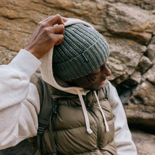 Turtle Fur Ethan Wool Beanie In Black