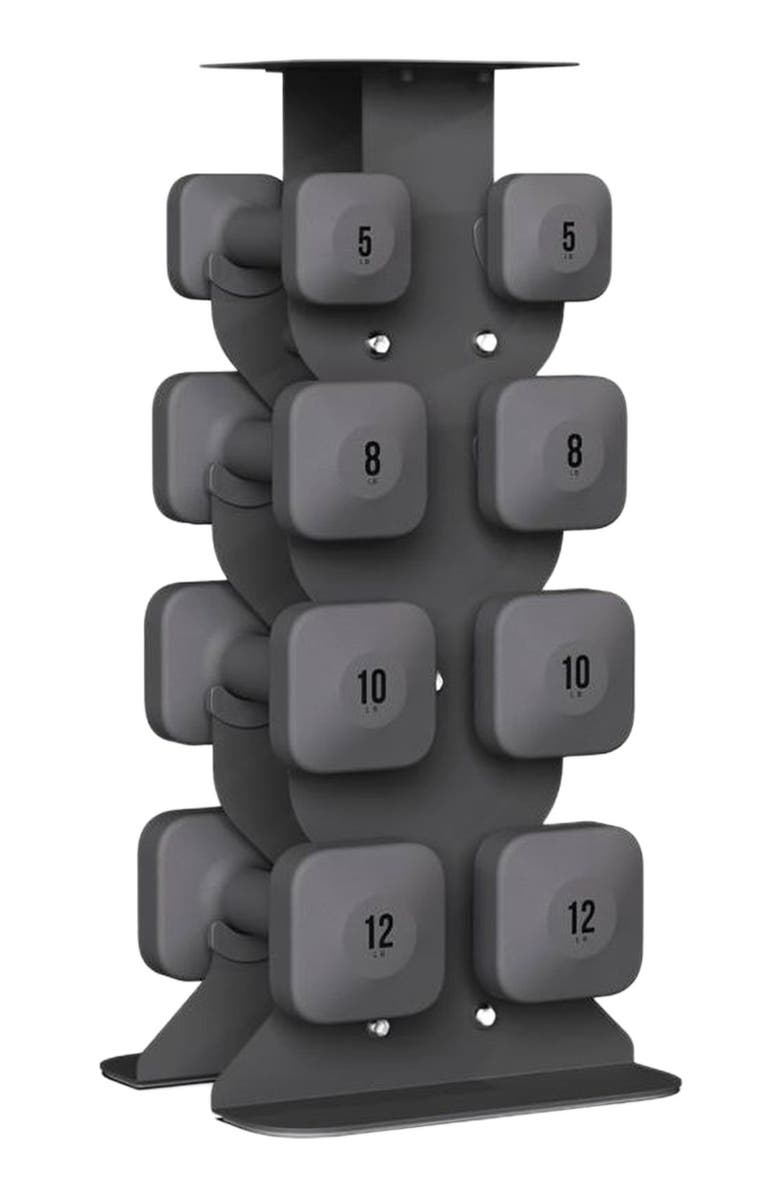 WeGym SafeGrip Dumbbells Medium Set with Light Rack - 5, 8, 10, 12 lbs, Main, color, Slate