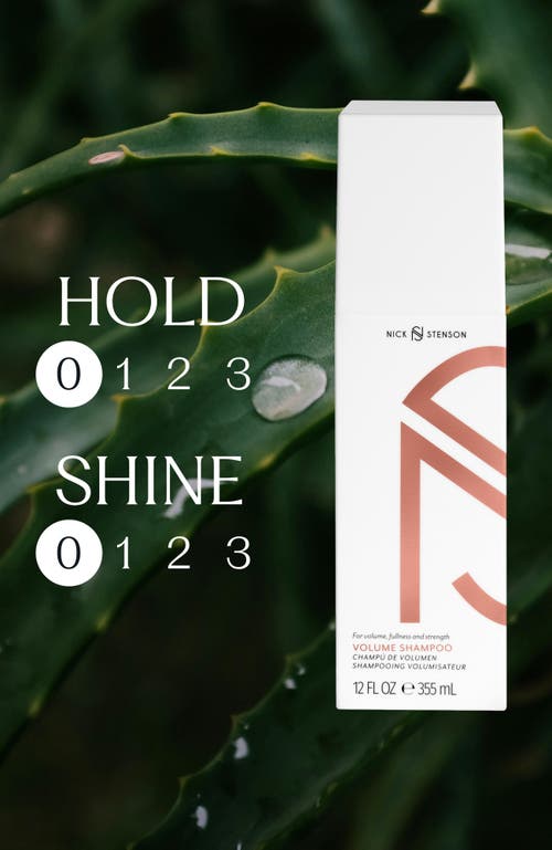 Nick Stenson Beauty Volume Shampoo