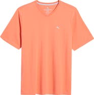 Tommy Bahama New Bali Skyline V-Neck T-Shirt