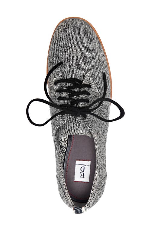 Ed Ellen Degeneres 'oberlin' Oxford In Multi