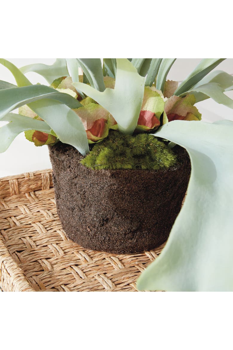 Staghorn Fern Drop-In 21", Alternate, color, Green