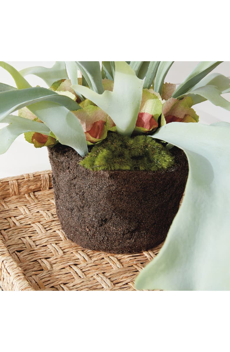 Napa Home & Garden Staghorn Fern Drop-In 21", Alternate, color, 