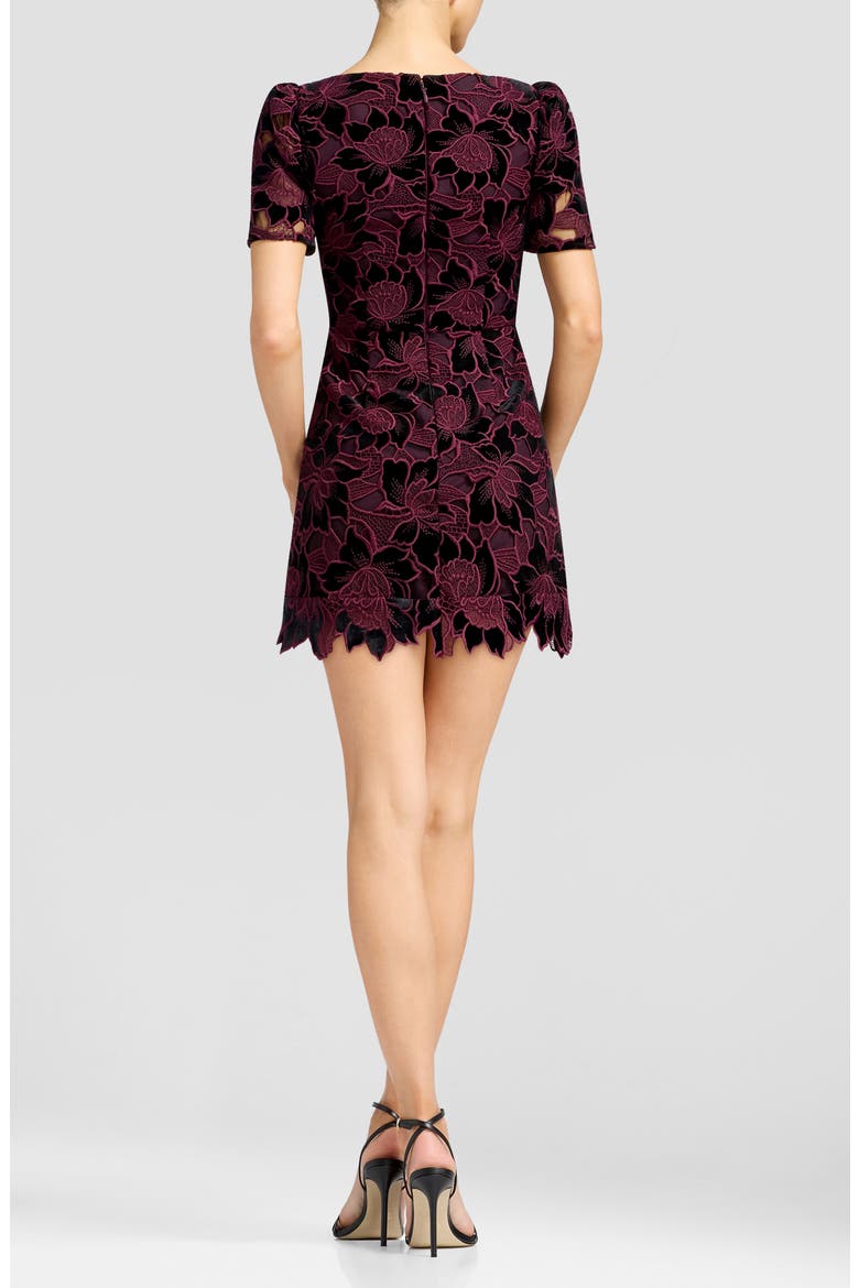 Clarke Floral Lace Minidress, Alternate, color, DEEP PLUM MULTI
