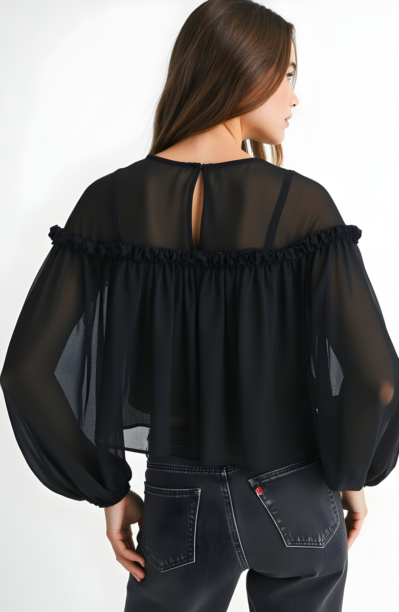 Modenaire Sheer Long Sleeve Blouse with Ruffled Trim and Flowing Silhouette, Alternate, color, Black