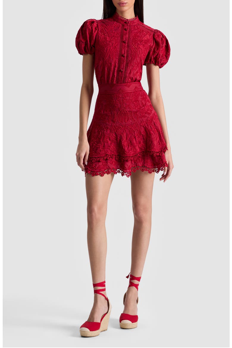 Loryn Embroidered Cotton Minidress, Main, color, DARK CHERRY