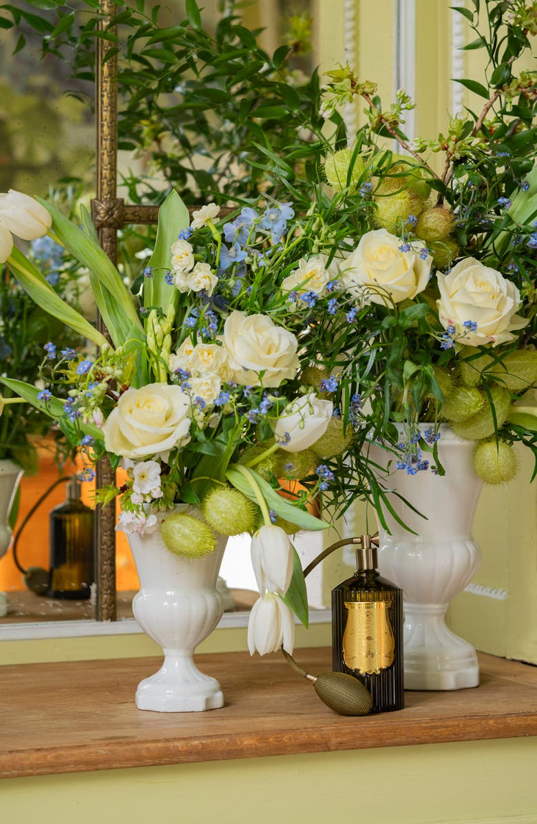 Trudon Ernesto Leather & Tobacco Room Spray, Alternate, color, 