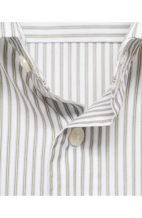 Mango Regular Fit Stripe Cotton Button-up Shirt In Brown