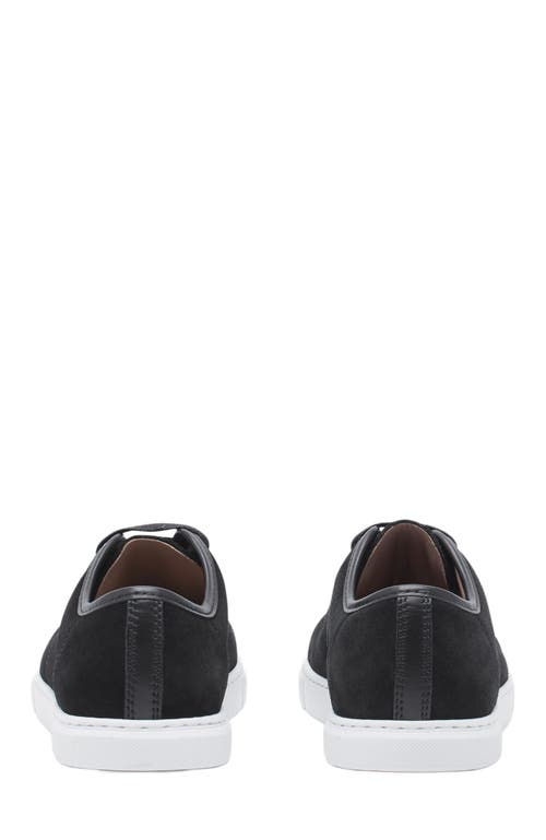 Lanvin Calf Suede Sneakers Metal Eyelet In Black