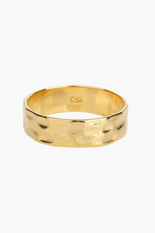 Bearfruit Jewelry Sterling Silver 18k Gold Plated Fiona Thin Hammered Band Ring In Gold