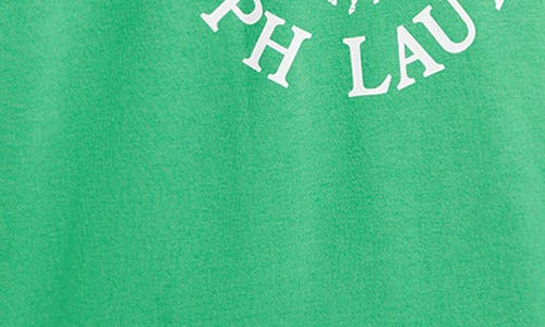 Polo Ralph Lauren Big Pony Logo French Terry Hoodie In Plato Green