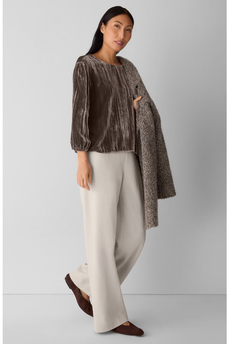 Bubble Sleeve Velvet Top, Alternate, color, RYE