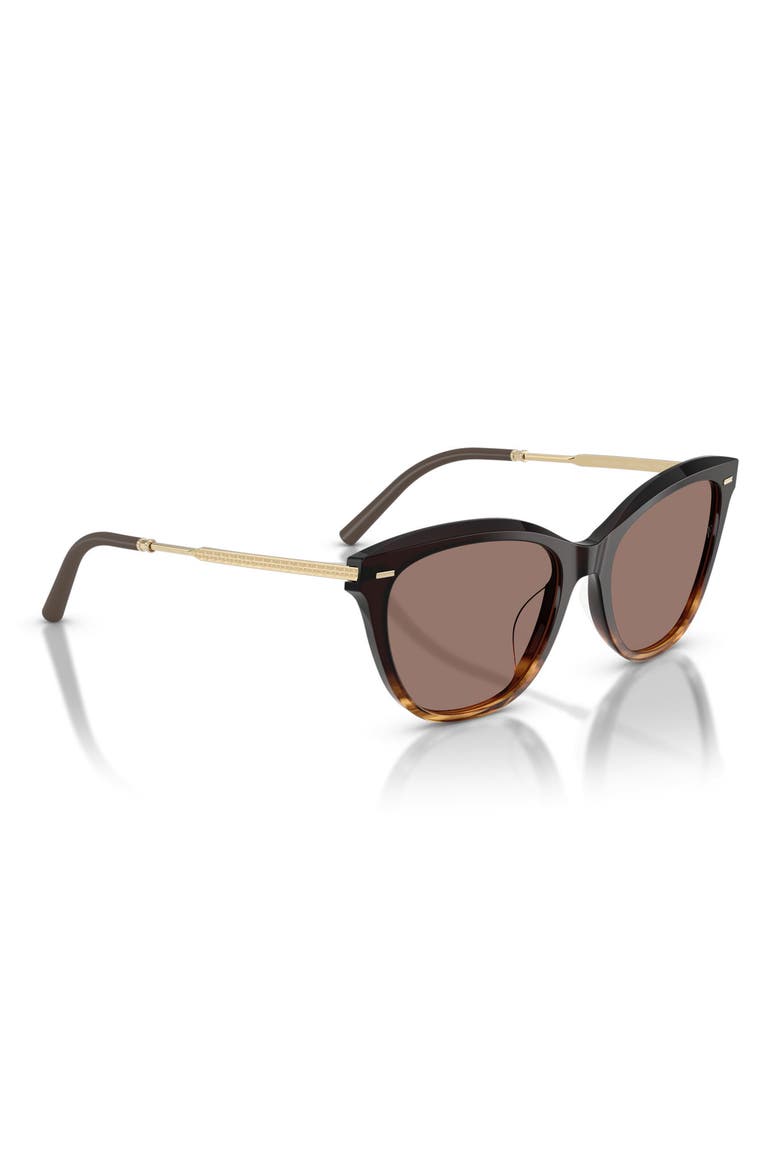 x Roger Federer Mr. Federer 55mm Cat Eye Sunglasses, Alternate, color, CORTADO / SIERRA