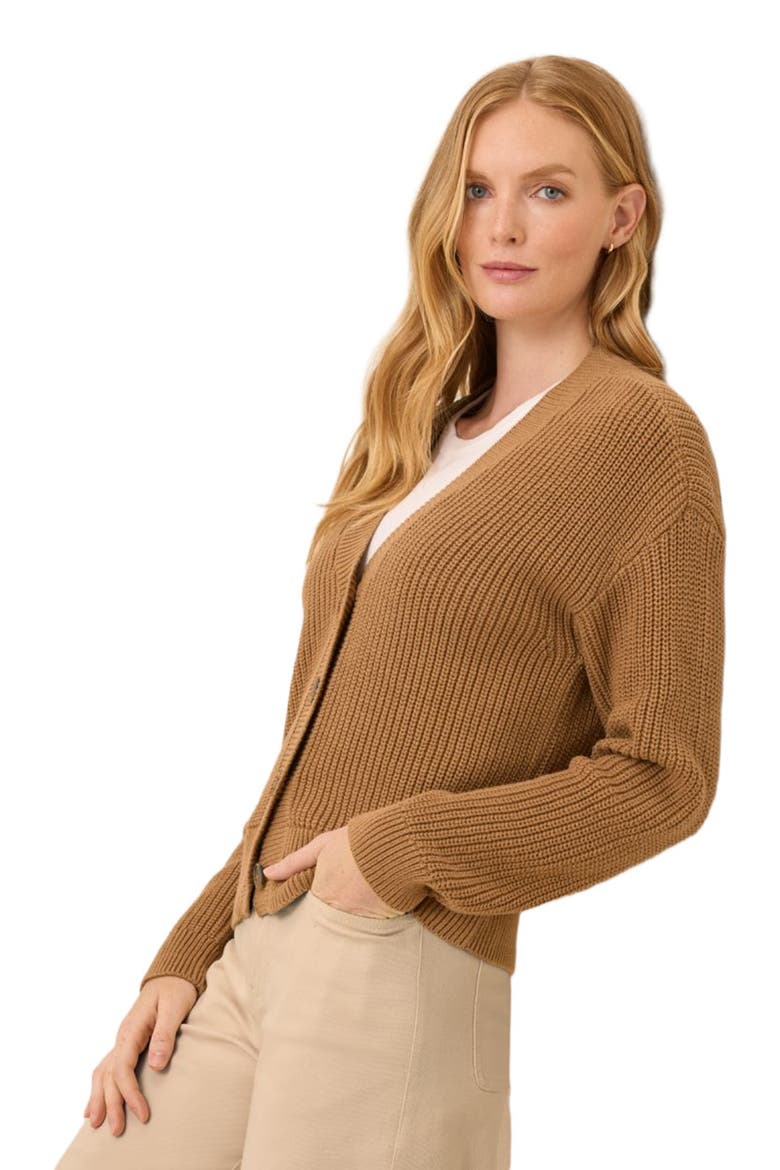 Luxe Knit Cropped Cardigan, Alternate, color, Brown Sugar Heather