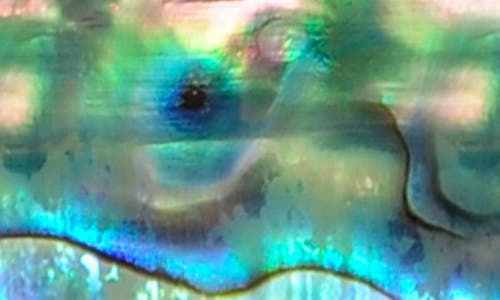 M Clip M-clip® Abalone Key Chain In Multi