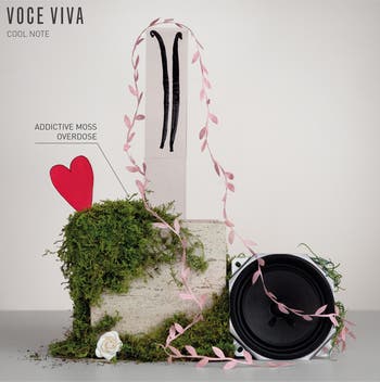 Valentino Voce Viva Eau de Parfum | Nordstrom Valentino Voce Viva Eau de Parfum | Nordstrom