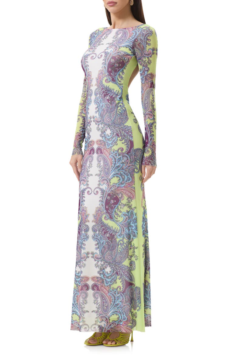 Talmo Long Sleeve Maxi Dress, Alternate, color, CITRUS PAISLEY