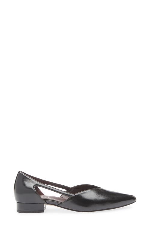 27 Edit Naturalizer Sydney Pointed Toe Flat In Black