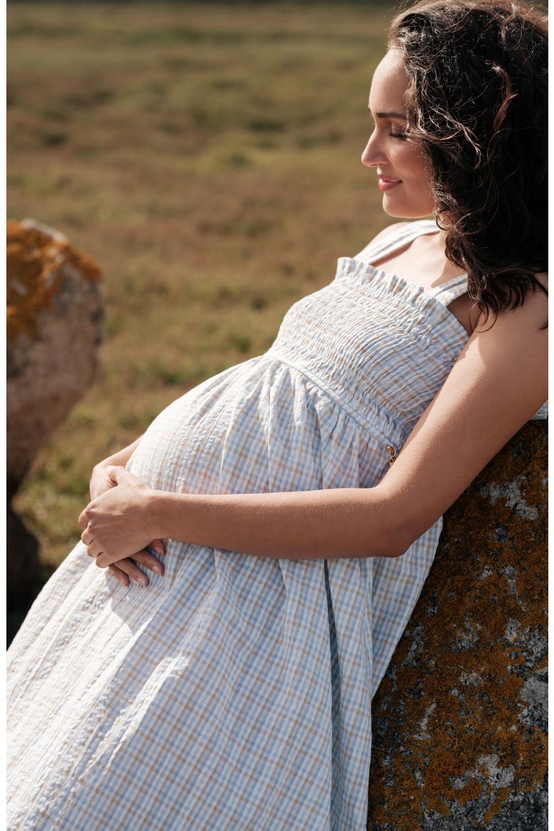 Maternity and Nursing Midi Smock Dress Alice, Alternate, color, Multicolor