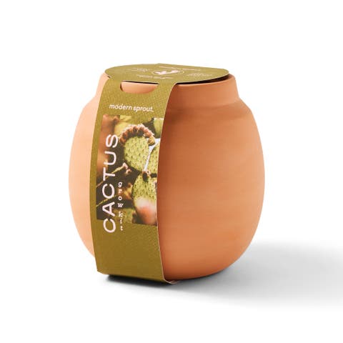 Terracotta Grow Kit