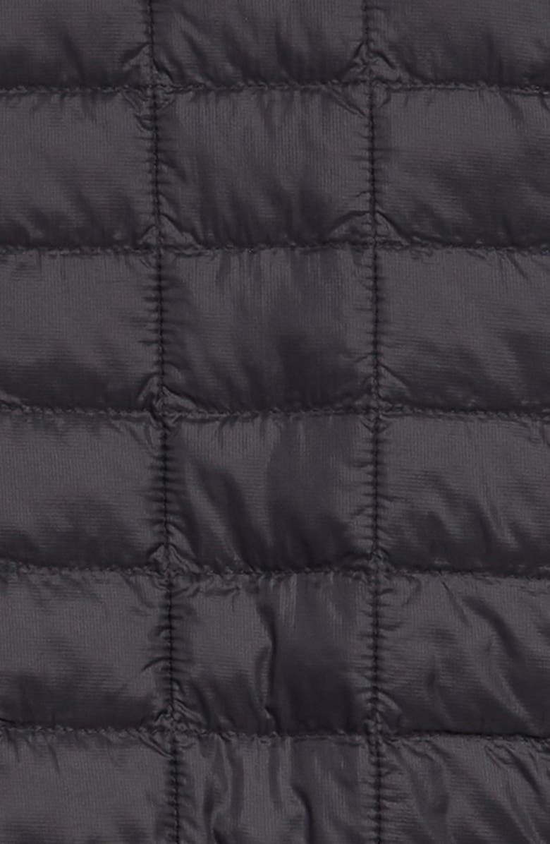 The North Face Kids' ThermoBall<sup>™</sup> Eco Packable Jacket, Alternate, color, 