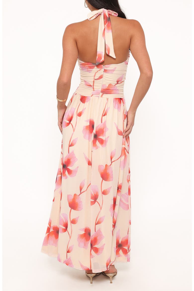 Kaira Halter Neck Maxi Dress, Alternate, color, PINK FLORAL